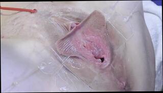 Video 1663224611: wide open, closeup gaping pussy, solo pussy gape, closeup pussy spreading, gaping spread vagina, gaping spread cunt, closeup pussy clit, amateur pussy closeup, pussy lips closeup, closeup pussy eating, pussy gape close, extreme closeup pussy, shaved pussy closeup, closeup pussy hd, solo straight, pussy licked spread, pussy very close