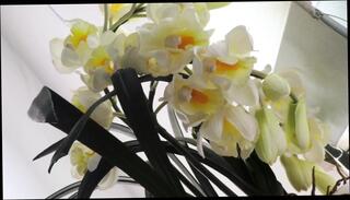 Video 1664447871: japanese milf jav, jav asian milf, hot jav milf, amateur milf wife fucking, amateur mature milf housewife, milf fucks husband, amateur milf fucks young, milf mom fuck, dick fuck milf, mature women milfs, milf fucks young man, neighbors milf wife, milf fucked hd, straight milf, men fucking women