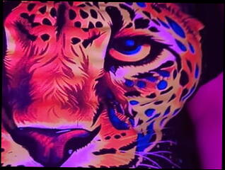 Video 1620029191: pawg lesbians, naked sexy lesbian babes, sexy teen lesbian girls, amateur lesbian teen girls, ass white girl pawg, lovely sexy lesbian girls, sexy lesbians strip, teen beauty lesbian girls, sexy big ass pawg, sexy hot lesbian girls, big boobs lesbian girl, tits big ass pawg, lesbian straight girl, hot lesbian strippers, big natural tits pawg, european lesbian girl, pawg striptease, exotic amateur lesbian, old teen lesbian, teen lesbian hd, 18 year old pawg, pawg dance, lesbian dancers, beautiful american lesbians, private lesbian, lesbian celebrities, porno