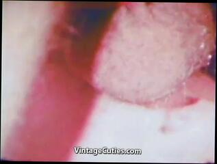 Video 199288701: vintage hairy, cunnilingus hairy, vintage tit fuck, hairy man fuck, hairy straight man, small tits hairy, vintage blowjob, vintage cuties, horny cock, smoking dirty, high horny, masturbation