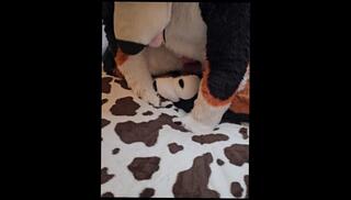 Video 1663338333: fetish solo masturbation, fetish gay solo, cbt fetish, furry fetish, gay furry sex, solo male masturbation cum, solo male masturbation cumshot, solo orgasm cum, amateur orgasm solo, hardcore fetish sex, solo male masturbation big, rough fetish sex