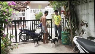 Video 1602133321: threesome twinks fucking bareback, twink fucked bareback gay, twink bareback gay porn, threesome bareback anal fuck, twink bareback fucking amateurs, twink outdoors bareback fucking, bareback fucks asian twink, uncut twink fucks, twink bareback raw, bareback 3some fuck, gay twink thai, fucking bareback hd, trio fucking