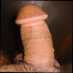 Video 1625783071: gay young boy masturbation, boy masturbation big cock, gay young boy anal, indian desi boy masturbating, gay boy hd