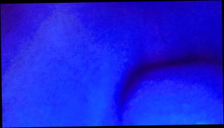 Video 737977101: dildo anal fisting, shemale anal dildo, dildo fisting play