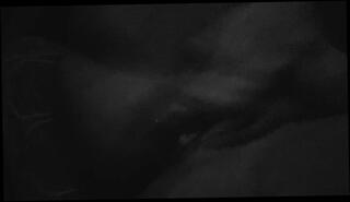 Video 1657300153: milf solo masturbation squirt, milf fingering squirting, horny milf solo masturbation, fingering squirting orgasm masturbation, amateur milf masturbates squirts, masturbation female squirt milf, hot solo milf masturbation, squirting babe fingers, sexy milf squirting, college babe squirts, good squirt