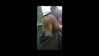 Video 1606586453: butt plug piss, butt plug fetish, butt plug solo, anal plug solo, solo piss masturbation, feet fetish sex, solo male piss, anal toys butt plug, amateur butt plug, public butt plug, solo bathroom masturbation, long hair fetish, cosplay feet