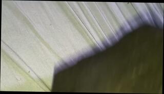 Video 1663874185: hot amateur milf