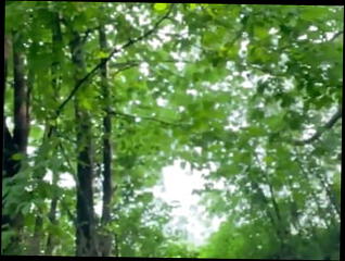 Video 1601613521: skinny solo, naked solo gay, solo gay cock, amateur solo cock, skinny straight amateur, big hard cock solo, skinny gay man, amateur solo hd, skinny outdoor, skinny pants, skinny old man, skinny american, cock balls bouncing