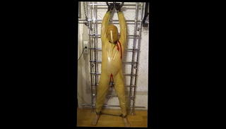 Video 1571863521: bdsm slave torture, latex bondage slave, bondage slave master, slave cock torture, bondage gay slave, cbt torture, bondage slave training, cbt massage, cock torture handjob, cbt jerking, slaves big cock, latex hd, hungarian cock