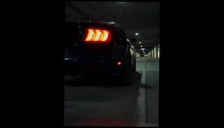 Video 1595140793: amateur fast, porn