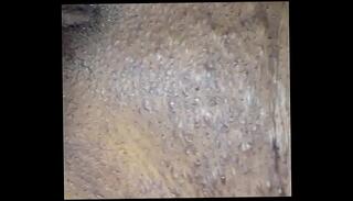 Video 316252445: bitch woman, girl woman, black ghetto bitch, ebony black woman