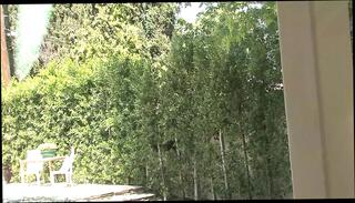 Video 1656709231: bbc creampie slut, oiled booty pussy, oiled booty ass, oiled black booty, huge bbc creampie, bbc creampies hot, big booty oiled, slut big butt oiled, cock creampie nice pussy, dick bbc huge cock, giant oiled ass, bbc pussy cream, hottest ass creampie, pussy creampie hd, booty straight, black african booty, afro booty, great oiled, oil large, huge black pecker, black cock screw