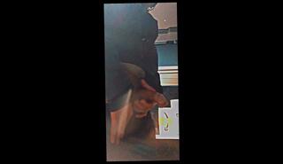 Video 1656672043: bbc creampie compilation, amateur creampie cumshot compilation, bbc masturbation compilation, bbc creampie cum, huge bbc compilation, creampie guy compilation, ebony creampie compilation, caught compilation, creampie compilation hot, creampie compilation big, jerking cumshot compilation, amateur bbc cum load