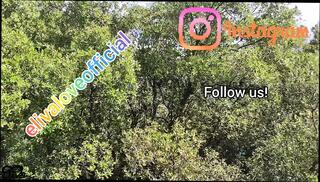 Video 1654665481: pov stepmom stepson sex, pov stepmom fucks stepson, stepson fuck stepmom ass, stepmom tit fucks stepson, stepmom stepson big boobs, stepmom fucks stepsons friend, brother step sister homemade, brother sister mom, mature stepmom fucks stepson, hot stepmom fucks stepson, brother stepsister hot sex, pov homemade amateur couple, girl fucks step brother, stepmom mom son, big natural boobs stepsister, fucking step sister outdoors, pov outdoor public sex, italian big tits stepmom, straight step brother, pov fucking close, pov group sex, naked compilation, hd pov big tits, stepsister game, beach pov