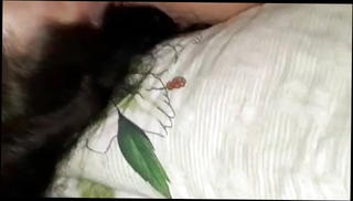 Video 1161486701: blowjob cumshot doggy style, mature doggy style, blowjob glory, straight glory