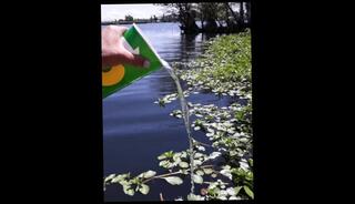 Video 962609603: pov squirt amateur, solo squirt amateur, pee pissing outdoor, solo male piss, solo public squirt, big squirt solo, amateur pov dick, solo amateur young, men pissing outside, old men pissing, piss filled, public nature pissing, muscular solo