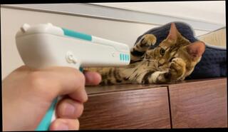 Video 1580061733: milf massaged pussy, hentai anime anal, hentai anime sex, anime hentai gay, milf pussy squirting, amateur milf massage, milf toys squirts, milf anal gangbang, milf hardcore gangbang, hard animated hentai, milf rough gangbang, massage pussy licking, milf pussy cumshot, funny anime, animation 60fps, mouth sucking