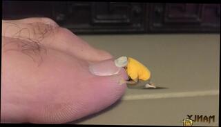 Video 1583818953: worship feet foot toes, feet foot fetish toes, foot worship toe sucking, toe licking foot fetish, feet gay foot fetish, feet foot fetish sock, foot worship big feet, foot fetish amateur gay, giant foot, foot sweat