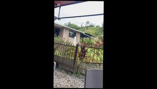 Video 1655977523: horny amateur couple fucking, amateur webcam couple fuck, amateur couple ass fucking, latin horny amateur couple, hot webcam couple fuck, horny guy ass fucking, porno ass fuck, fucks horny big dick, tits big ass horny, horny old men fuck, 18 years ass fuck, ass fucking muscular, ass fucked hd