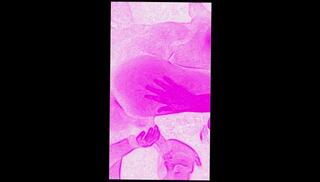 Video 1664321663: amateur milf pov blowjob, milf slapped ass, amateur latin milf pov, amateur milf cuckold, pov cuckold wife, big ass milf pov, hot milf pov blowjob, milf pov sex, big dick pov sex, big ass brazilian milf, gagging ass, playing gagging, guy gagging, woman big cock, swallows big cock