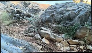 Video 1654721561: girl pov masturbation, amateur pov masturbation, amateur pov tit, public nudity outdoor masturbation, public nudity nude, female pov masturbation, pov strip, pov hd amateur, pov boobs, pov straight, nudity beach public, flashing public nudity, cmnf, pov story, nude naked, girls erotica, exhibitionist nude, masturbation exhibition, nude exposed