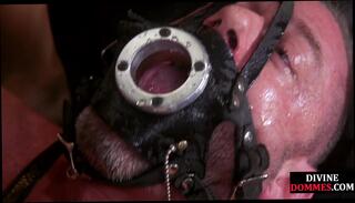 Video 1650088654: bdsm femdom strapon, pierce dominates, dominant bitch, domination tied, stockings strapon, dominated hard