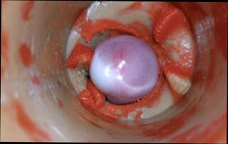 Video 1655583751: crossdresser femboy sissy fucking, twink sissy femboy cum, indian sissy femboy crossdresser, twink boys bareback fuck, daddy fucks twink bareback, gay bareback twink boy, amateur teen sissy crossdresser, bareback twink gay sex, twink boy friends bareback, bear fucks twink bareback, sissy femboy blowjob, daddy barebacks asian twink, bareback fuck young twink, sissy femboy masturbate, grandpa fucked crossdresser, hunk barebacks twink, twink big cock bareback, sissy crossdresser toying, twink old grandpa, gay twinks fucking men, gay man fucking twink, old grandpa close cum, condom ejaculate, fucking bareback hd, condom pussy, inside condom, condom deep, condom huge