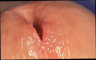 Video 1656777201: hairy twinks bareback, hairy twink solo, daddy fucks twink bareback, twink boys bareback fuck, twink bareback fucks cum, twink fucked bareback gay, twink bareback gay porn, twink bareback fucking teen, twink bareback fucking amateurs, dick twink solo cum, bear fucks twink bareback, twink latino bareback fucking, femboy fucked bareback, bareback fuck young twink, twink big cock bareback, twinks blowjob bareback, hairy grandpa fucks, twink femboy masturbates, twinks bareback cumshot, solo straight twink, twink old grandpa, hairy man solo, bathroom bareback boy, fucking bareback hd