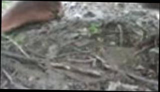 Video 1568015821: gay fuck masturbation, gay sex fuck, indian desi gay fuck