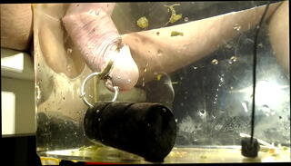 Video 1664245225: boy solo cumshot, toy boy solo, solo boy sex