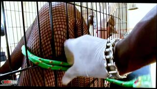 Video 1656815901: kiara marie, mr marcus, milf pussy fucked doggy, ass milf doggy fucked, interracial doggy style fuck, dominant big tits milf, chubby blonde milf fucked, milf blindfolded fucked, chubby milf riding, bdsm big tit milf, couple bdsm domination, curvy chubby milf, chubby black milf, bdsm cage, cock riding doggy fucking, natural tits milf fucks, raw blindfolded fuck, black hair milf fucking, english milf fucking, cage cumshot, doggy style straight, milf fucked hd