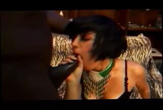 Video 1579554451: milf retro vintage, milf sucking fucking bbc, milf pussy fucked doggy, bbc doggy style fucking, milf swallows bbc, vintage retro sex, milf fucked hard doggy, vintage retro big cock, doggy cumshot milf, retro classic vintage, hot milf doggy style, sucking bbc swallowing cum, girl sucking bbc swallowing, sucking dick fucked doggy, fucks sucks huge bbc, black girl sucks bbc, mom fucked doggy style, doggy style fuck facial, bbc slut fucking, bbc fucks horny, bbc mouth fuck, italian milf fucked, doggy style fucked european, milf fucked very hard, straight bbc