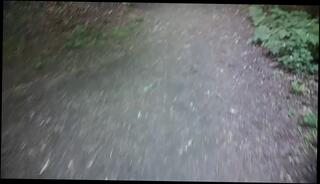 Video 1625277993: pee piss urine, pissing peeing fetish, solo pee fetish, pissing urinal gay, men pissing urinal, solo male piss, pov pissing, piss gay cock, amateur pov cock, amateur public piss, piss park, taking piss