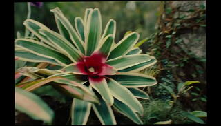 Video 1655348665: anime toon, hentai toon, hentai brasil, anime trap