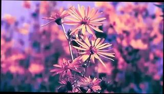 Video 1655694021: jav uncensored pov, homemade jav uncensored, bondage uncensored, uncensored vintage, compilation uncensored, vintage bisexual, straight bisexual, story uncensored, vintage close, bengali homemade