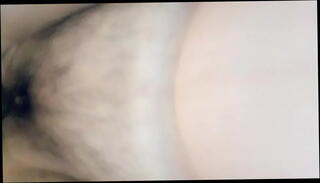 Video 1603146965: laura lion