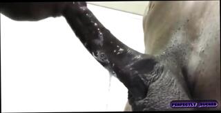 Video 1664675651: girl worships bbc, bbc cock worship, sucking bbc black dick, huge cock bbc cums, bbc big dick sucked, woman sucking bbc, women sucking bbc, blowjob big dick bbc, blow bbc homemade, sucking bbc sloppy, bbc cums huge load, sucks bbc eats, bbc cum mouth, couple worship, bbc cock lover, worshiping straight, lip worship, worship perfect, suck deeper, amazing sloppy blowjob