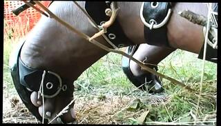 Video 1658763781: big cock shemale threesome, shemale threesome cum, threesome cock riding, black shemale threesome, ladyboy threesome, hard threesome, lingerie threesome, threesome hd, cock brazilian shemale