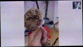 Video 1580893273: hentai porn compilation, hentai cumshot compilation, cunnilingus compilation, cunnilingus pussy licking, pussy orgasm compilation, pornstar cumshot compilation, pussy play compilation, pornstar pmv compilation, perfect cumshot compilation, ebony cumshot compilation, classic hentai, funny hentai, old pussy