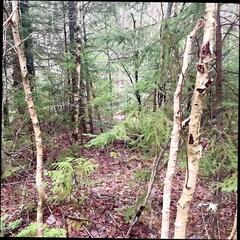 Video 1665983081: amateur solo pussy, outdoor solo pussy, pussy pissing, solo straight, solo hd, canadian pussy