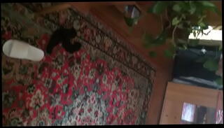 Video 486603525: sex penis porn, amature big cock sex, porn couple sex, amateur couple ass, dick cock penis, sex big cock cumshot, couple wild sex, amateur couple amazing, sex porno, amatuer couple