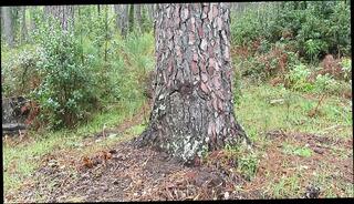 Video 1664335231: femboy pantyhose, uncut big cock masturbation, uncut cock gay, uncut teen cock, amateur uncut cock, big cock latex, latex high heels, uncut emo, french latex, latex hd