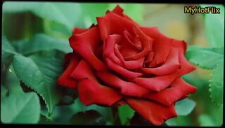 Video 1655039135: cousin fucking, cousins sex, fuck bengali sex, sex fucking story, fucking romantic sex