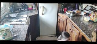 Video 1659250801: solo amateur teen, housewife solo, teen solo hd, solo straight, kitchen solo, solo tattooed