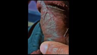 Video 1602814823: solo caught, solo jerk gay, solo amateur jerking, gay solo blowjob, solo male jerking, dick jerking, jerking flashing