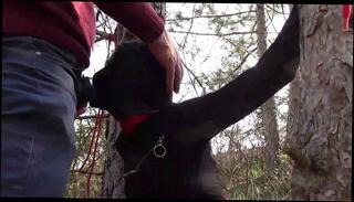 Video 1653510383: milf blowjob creampie compilation, creampie amateur milf compilation, milf compilation bondage, amateur milf cum compilation, amateur milf sex creampie, milf bound fucked, creampie swallowing compilation, milf bondage orgasm, milf outdoor creampie, latin milf creampie, hot milf creampie, bondaged fucked rough, creampie orgasm outside, fuck mouth creampie, creampie female orgasm