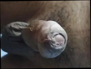 Video 1610747031: virgin girl fingers pussy, bbw wife bbc, bbw teen fingering, mature bbw bbc, black bbw bbc, hot bbw bbc, girl fingering pussy masturbation, girl fingering pussy orgasm, fingering wifes wet pussy, desi girl pussy fingering, girl fingering tight pussy, bbw wife handjob, couple fingering pussy, sex fingering pussy, virgin teen big cock, straight virgin teen, mature wife hotel bbc, wife first time bbc, fingering wet pussy close, virgin penis, giant bbc wife, hairy penis, hairy pussy shaved, bbw redhead wife, husband wife, pussy dick, masturbation married, private masturbation