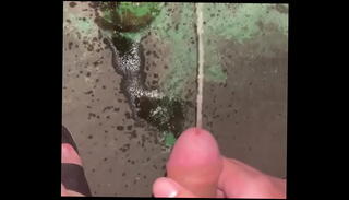 Video 1376408645: penis exposed