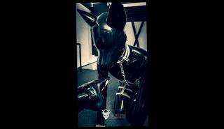 Video 1657721273: slave worship mistress feet, latex mistress femdom slave, feet slave foot worship, foot fetish feet worship, latex bondage slave, amateur foot worship, foot worship hardcore, foot play worship, latex pet, latex dog