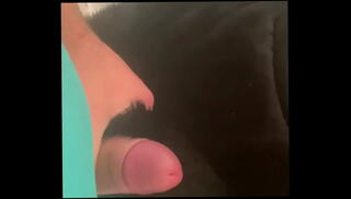 Video 1622314505: foot worship goddess, foot worship toe, pantyhose foot worship, foot fetish goddess, milf foot worship, foot fetish dirty talk, goddess ass worship, foot fetish slut, sexy toes foot, wife foot fetish, foot worship pussy, pantyhose foot fuck, foot fetish fucking hot, foot worship blowjob, amateur foot worship, mom foot fetish, fetish milf throats, goddess leg worship, foot worship face, latin foot worship, secretary foot fetish, guy foot worship, mature foot worship, perfect foot fetish, foot fetish tight, deep foot fetish, woman pantyhose pussy fucking, milf step mom wife, milf housewife slut, milf wife's wet pussy, slutty milf wife, amateur curvy milf fucked, bad ass milf, sexy pretty milf, round ass milf, milf taboo fuck, glamour goddess, pantyhose clothes, family fetish